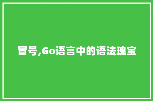 冒号,Go语言中的语法瑰宝 网站优化