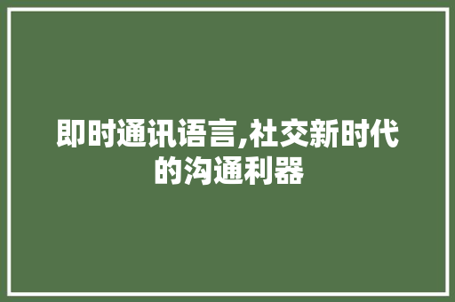 即时通讯语言,社交新时代的沟通利器