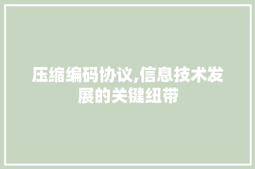 压缩编码协议,信息技术发展的关键纽带