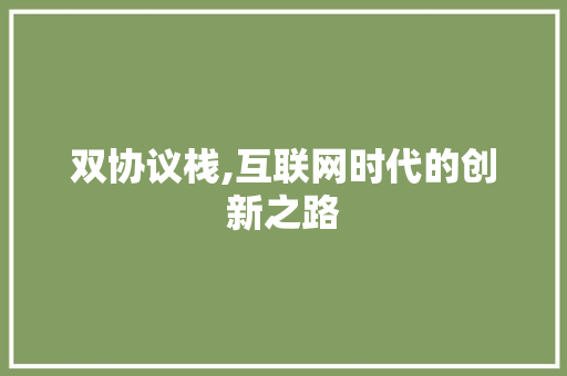 双协议栈,互联网时代的创新之路