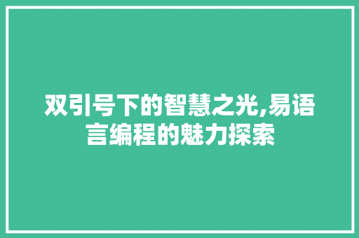 双引号下的智慧之光,易语言编程的魅力探索 网站优化
