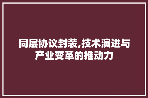 同层协议封装,技术演进与产业变革的推动力 头条优化