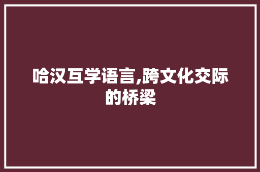 哈汉互学语言,跨文化交际的桥梁 小程序开发