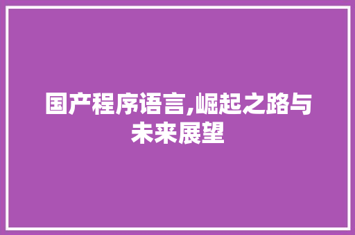 国产程序语言,崛起之路与未来展望 头条优化