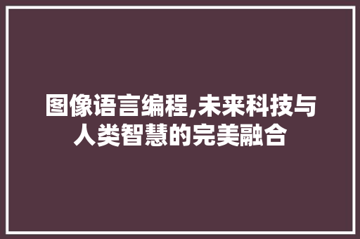 图像语言编程,未来科技与人类智慧的完美融合 小程序开发