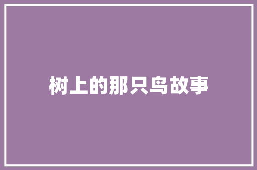 BS程序语言,引领未来编程潮流的智慧之光