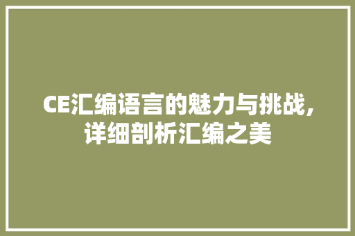 CE汇编语言的魅力与挑战,详细剖析汇编之美