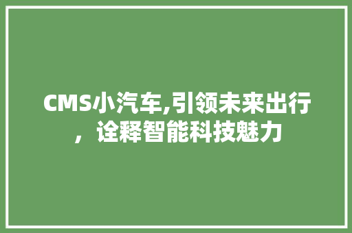 CMS小汽车,引领未来出行，诠释智能科技魅力 头条优化