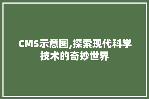 CMS示意图,探索现代科学技术的奇妙世界