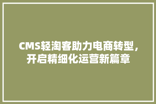 CMS轻淘客助力电商转型，开启精细化运营新篇章