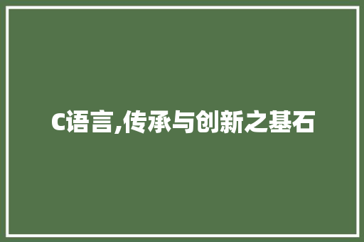 C语言,传承与创新之基石