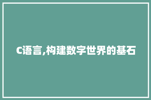 C语言,构建数字世界的基石