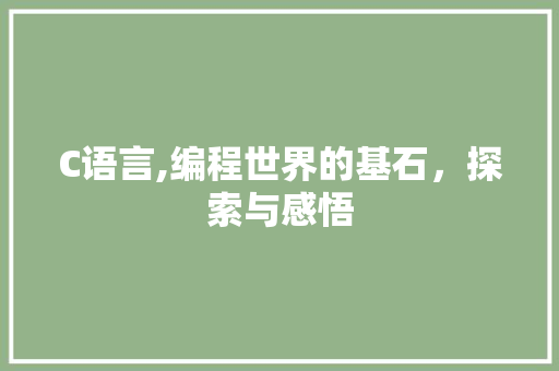 C语言,编程世界的基石，探索与感悟
