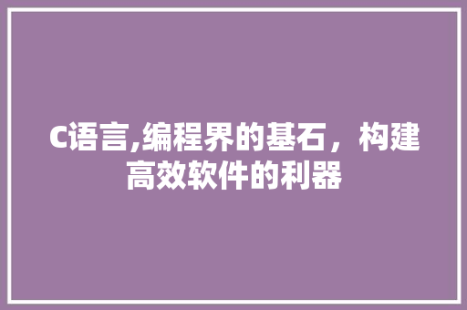 C语言,编程界的基石，构建高效软件的利器 小程序开发