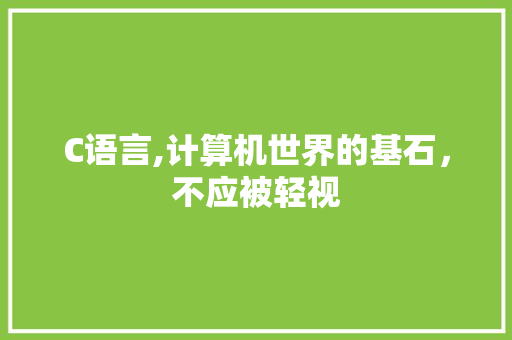 C语言,计算机世界的基石，不应被轻视 头条优化