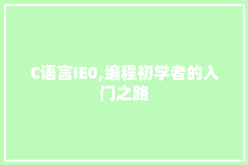 C语言IE0,编程初学者的入门之路 网站开发