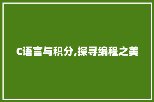 C语言与积分,探寻编程之美