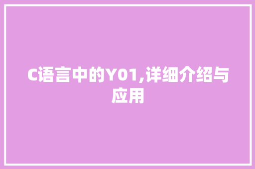 C语言中的Y01,详细介绍与应用