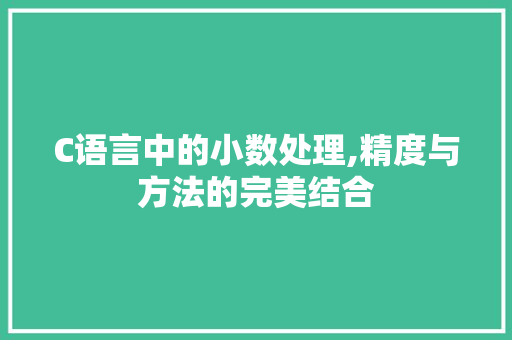 C语言中的小数处理,精度与方法的完美结合