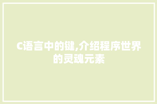 C语言中的键,介绍程序世界的灵魂元素
