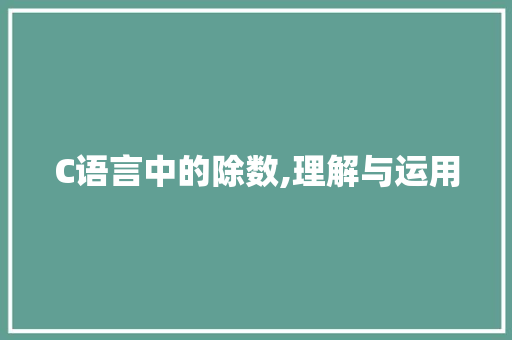 C语言中的除数,理解与运用