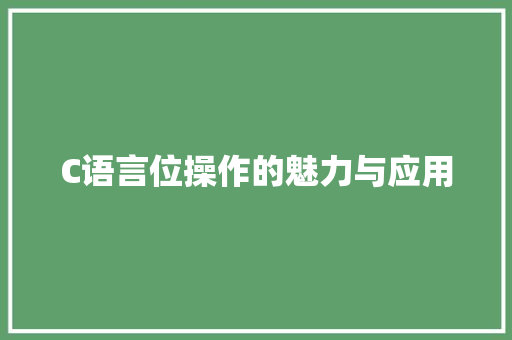 C语言位操作的魅力与应用
