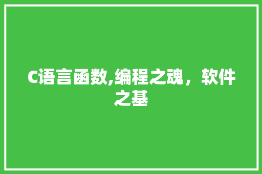 C语言函数,编程之魂，软件之基 seo技术