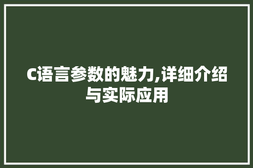 C语言参数的魅力,详细介绍与实际应用 360搜优化