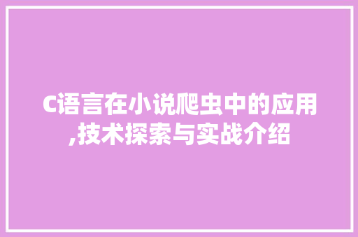 C语言在小说爬虫中的应用,技术探索与实战介绍