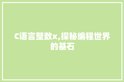 C语言整数x,探秘编程世界的基石 网站优化