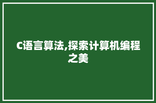 C语言算法,探索计算机编程之美