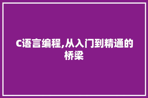 C语言编程,从入门到精通的桥梁 seo技术