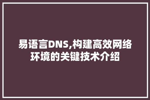 易语言DNS,构建高效网络环境的关键技术介绍 搜狗优化