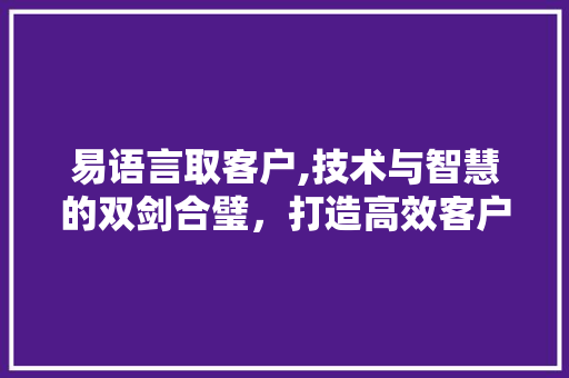 易语言取客户,技术与智慧的双剑合璧，打造高效客户服务新纪元 小程序开发
