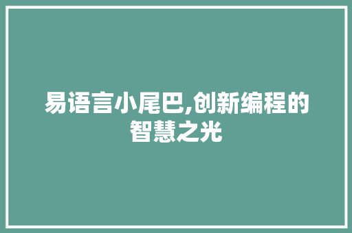 易语言小尾巴,创新编程的智慧之光 搜狗优化