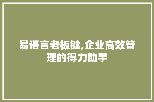 易语言老板键,企业高效管理的得力助手