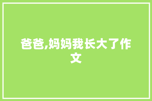 易语言音乐盒,传统文化的现代演绎