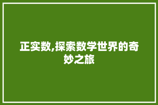 正实数,探索数学世界的奇妙之旅