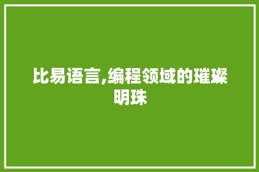 比易语言,编程领域的璀璨明珠