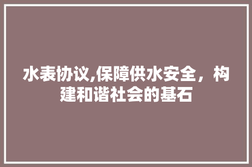 水表协议,保障供水安全，构建和谐社会的基石
