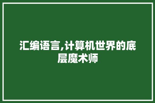 汇编语言,计算机世界的底层魔术师