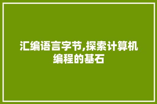 汇编语言字节,探索计算机编程的基石