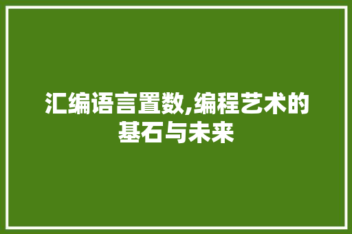 汇编语言置数,编程艺术的基石与未来