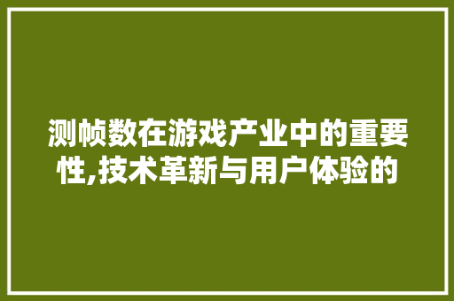 测帧数在游戏产业中的重要性,技术革新与用户体验的双重驱动