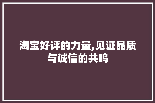 淘宝好评的力量,见证品质与诚信的共鸣