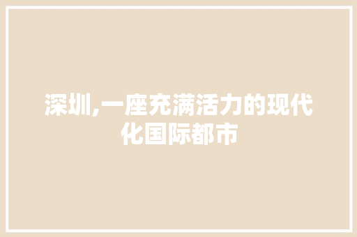 深圳,一座充满活力的现代化国际都市