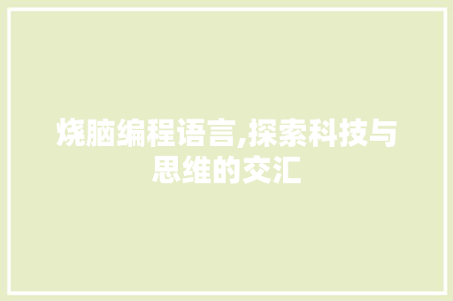烧脑编程语言,探索科技与思维的交汇