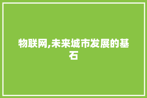 物联网,未来城市发展的基石 网站开发