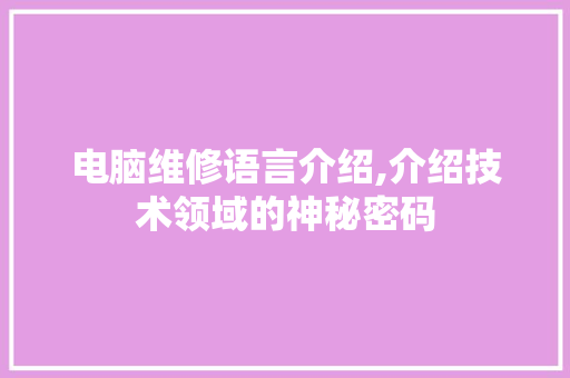 电脑维修语言介绍,介绍技术领域的神秘密码