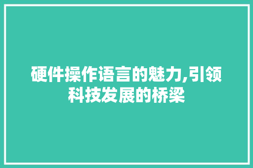 硬件操作语言的魅力,引领科技发展的桥梁